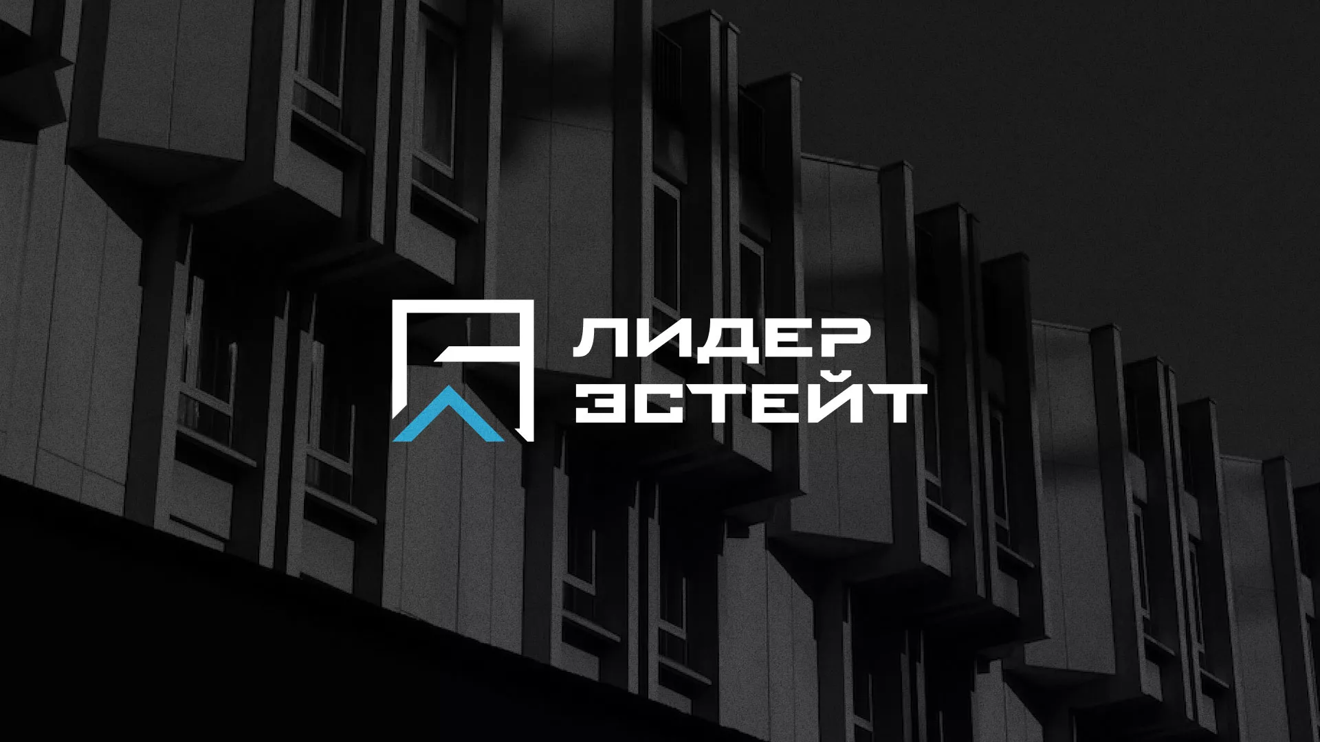 Разработка логотипа агентства недвижимости «Лидер Эстейт» в Родниках